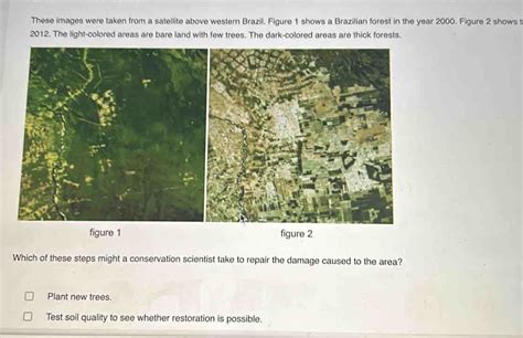 Solved: These images were taken from a satellite above western Brazil ...