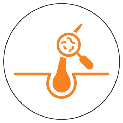 Medilice - Medilice Cream Wash