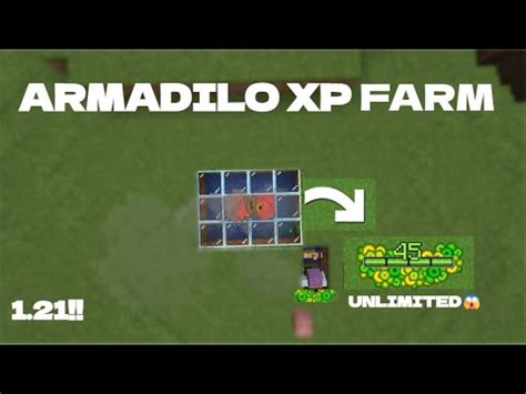 Image result for Armadillo Farm for Exp Java