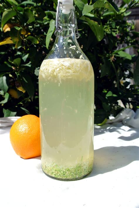 Best Way To Use Orange Blossom Water at Noma Andrews blog