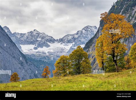 Image result for Enable JavaScript Windows 11