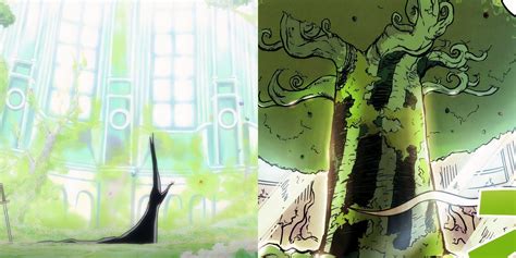 One Piece: Oda Has Already Revealed Dragon's Devil Fruit