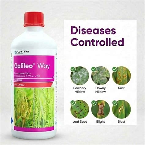 Buy Corteva Galileo Way Fungicide - Protect Crops Against Fungal ...