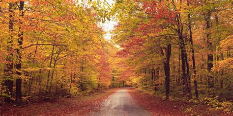 The top 10 places to see fall foliage in Toronto