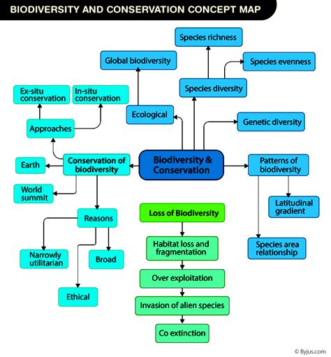 Conservation 的图像结果