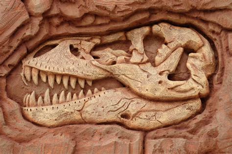 “探秘白垩纪，重返恐龙时代”恐龙化石展在青岛开展_青岛民生_青岛_齐鲁网