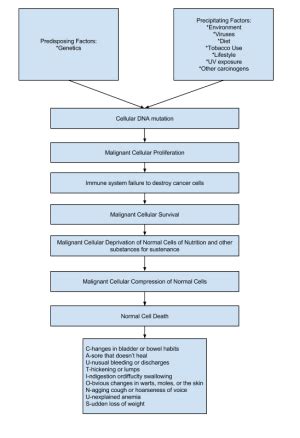 Cancer and it's Management ~ Nursing Path