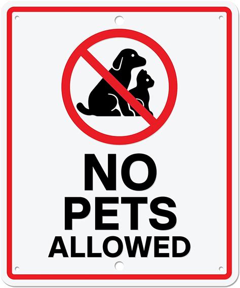 No Pets Allowed Aluminum Metal Sign | No Dogs, Cats, Animals Allowed Inside Business Sign ...