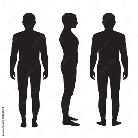 HTML CSS JavaScript Human Body Analogy 的图像结果