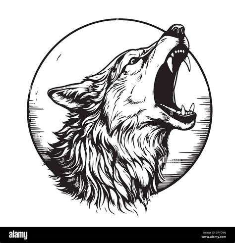 Sketches Of Wolves Howling At The Moon