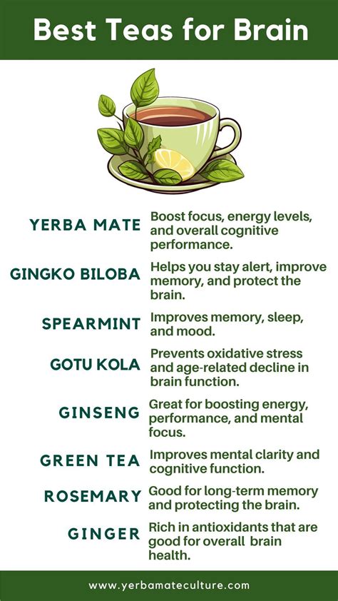 What Is The Best Herb For Forgetfulness And Brain Fog