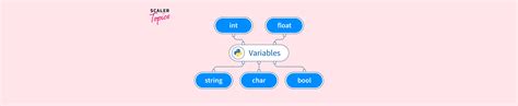 Image result for Variable.type Python