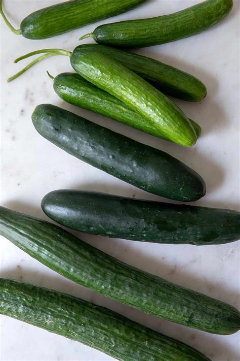 Is Cucumber a Fruit - The Harvest Kitchen