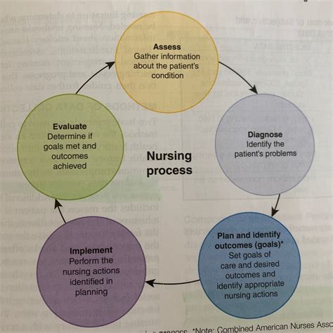 CHAPTER 5 Key Terms : Nursing Process Diagram | Quizlet