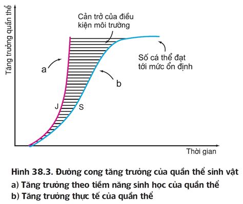 AMBIL SEKARANG