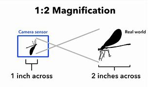 Image result for high magnification