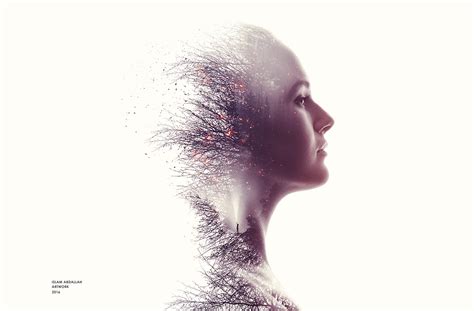 Image result for Random Projects Programin