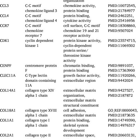 Image result for Cell Type Gene Expression
