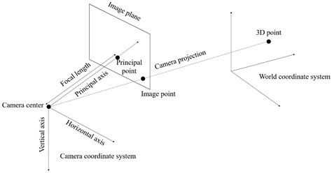 3DoF+ 360 Video Location-Based Asymmetric Down-Sampling for View ...