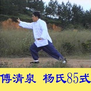 傅清泉85式太极拳,85式太极拳背式,85式式太极拳_大山谷图库