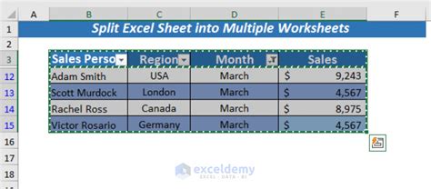 Excel Split Data into Multiple Sheets 的图像结果
