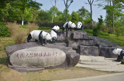 中国大熊猫保护研究中心2020年公开招聘高校毕业生公告_高校人才网