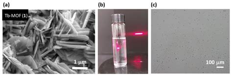 Luminescent and Magnetic Tb-MOF Flakes Deposited on Silicon