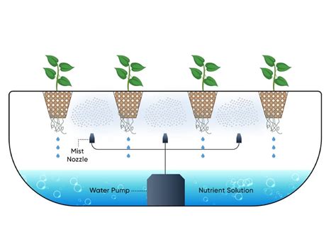 Hydroponics Systems in India | NFT, DWC, Dutch Bucket | Agriplast
