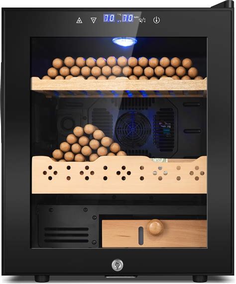 Electric Cooler Cabinet 50L with Temperature and Humidity Control ...