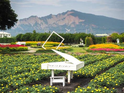 Go to Flower Market 的图像结果