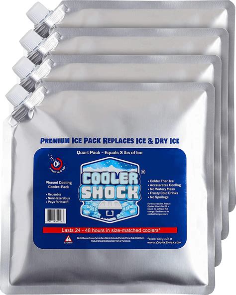 Amazon.com: ArcticMAX - Longest-Lasting Slim Cooler Ice Pack (Large 14 ...