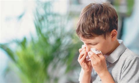 Basophil Activation Test useful Alternative to Nasal Allergen Challenge ...