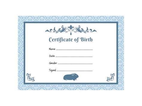 Guinea Pig Birth Certificate Printable PDF A4 Download - Etsy India