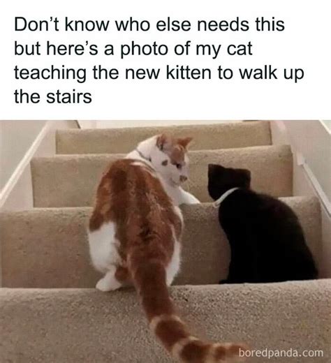 Image result for Writing Program Code On Paper Meme