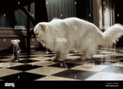 Image result for Stuart Little Washing Machine