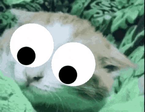 Image result for Mern Stack Developer GIF