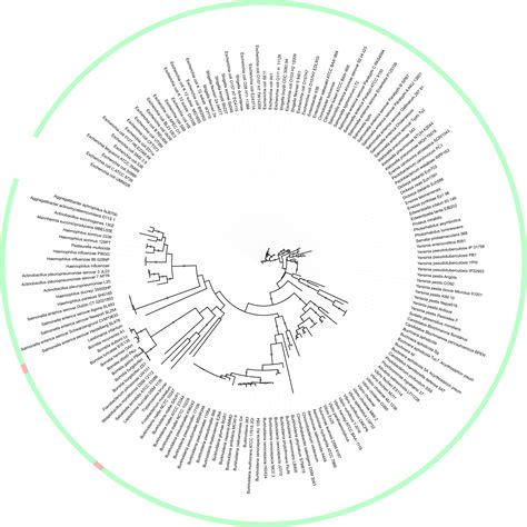Small Activatingrna 的图像结果