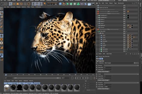 Image result for Computer Motion Graphics