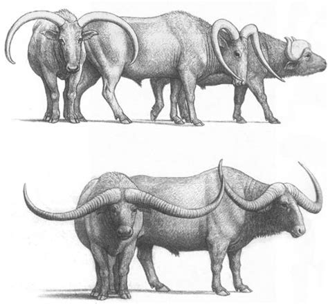 35 Cenozoic Creatures As Awesome (Or Even More So) Than Dinosaurs ...