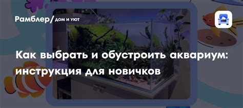 Как выбрать и обустроить аквариум: инструкция для новичков - Рамблер ...
