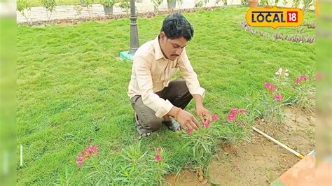 Every residence should become a manor house What is that young man ...