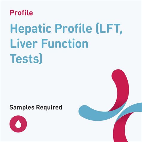 How Is Liver Profile Test Done at Jeff Span blog