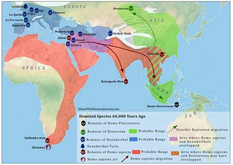 Human Evolution Migration Map 的图像结果
