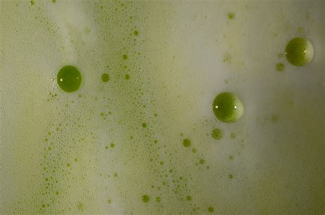 Lip Gloss Names Sexyy Red Rejected Before Choosing "Gonorrhea" (Satire)