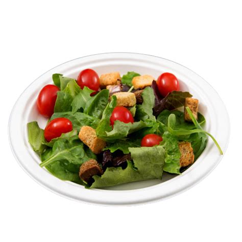 BAGASSE PLAIN PLATES | Quit Plastic