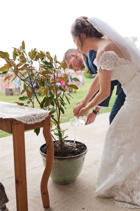 Image result for Unity Tree for Weddings