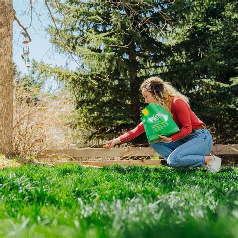 Custom Lawn Plan | Sunday Lawn Care