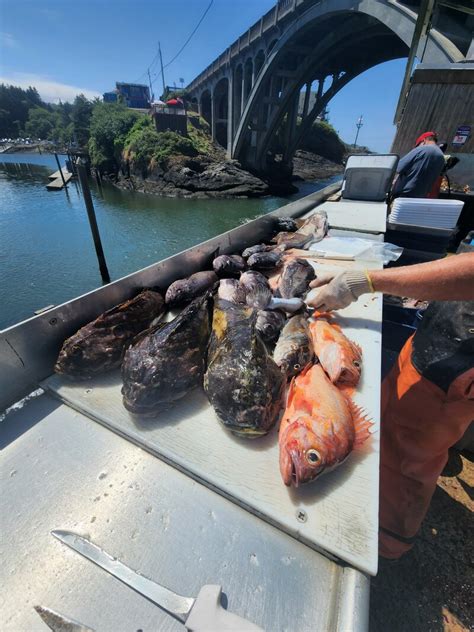 Tradewinds Charters 的图像结果