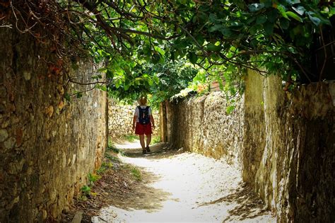 Adventure Trip 的图像结果