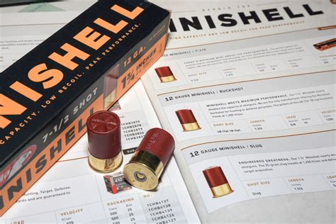 Image result for Mini Shell